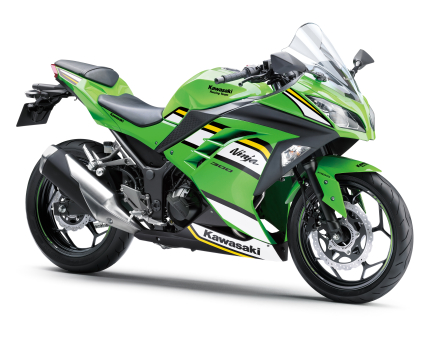NINJA 300 - 2026